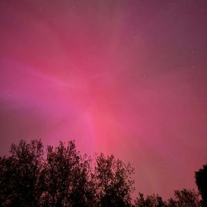 Meet your Posher, Caleb